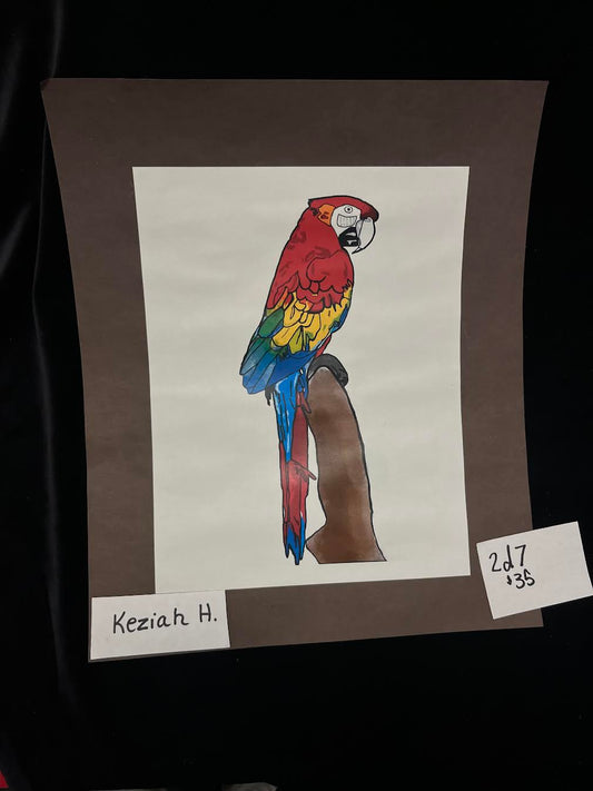 2d7 Parrot - painting